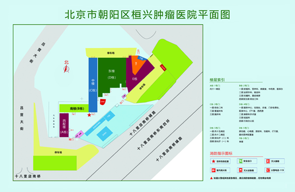 男的用鸡扒桶入女的阴道视频北京市朝阳区桓兴肿瘤医院平面图